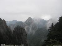 �˿˱�����������Ƶ�����������ƻ��ײ��ˮ�ű����ֲ�Ϯ���� ץ��5��...